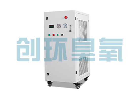 河东石斑鱼养殖水质调控完整指南：臭氧发生器配置与操作步骤