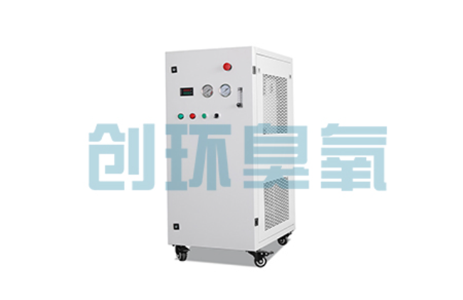 河东比传统换水更高效？臭氧发生器在石斑鱼养殖中的水质净化原理解析